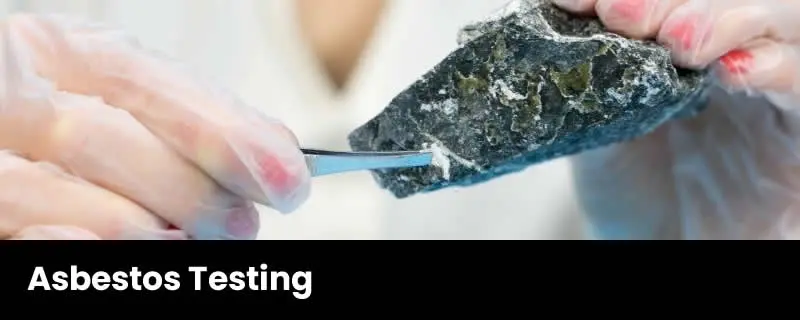 Asbestos Testing Services